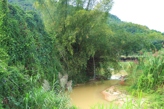 乡村自然风景