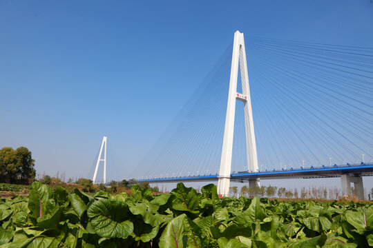 武汉青山长江大桥