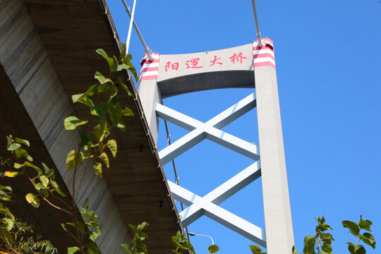 武汉阳逻长江大桥