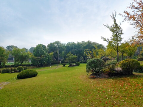 秋天落叶绿草地