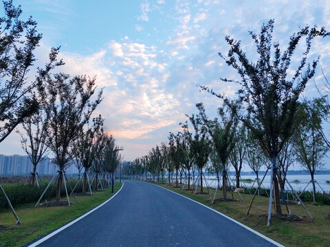 林间沥青马路晚霞