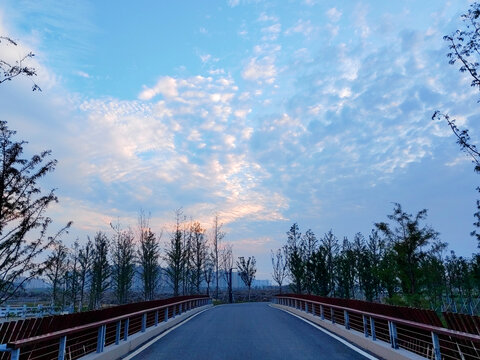 林间柏油马路鱼鳞云