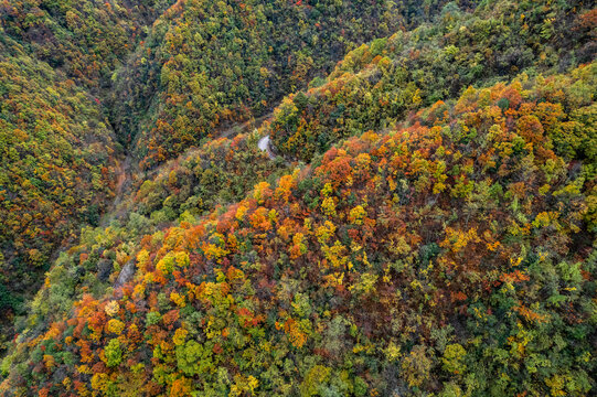 庆城口大巴山深处秋意浓