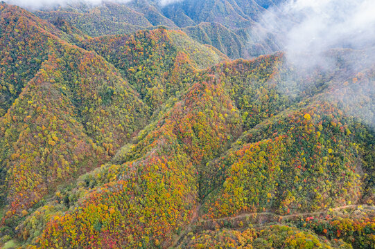 庆城口大巴山深处秋意浓