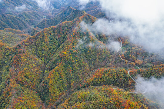 庆城口大巴山深处秋意浓