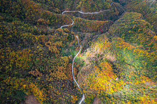 重庆城口大巴山深处秋意浓