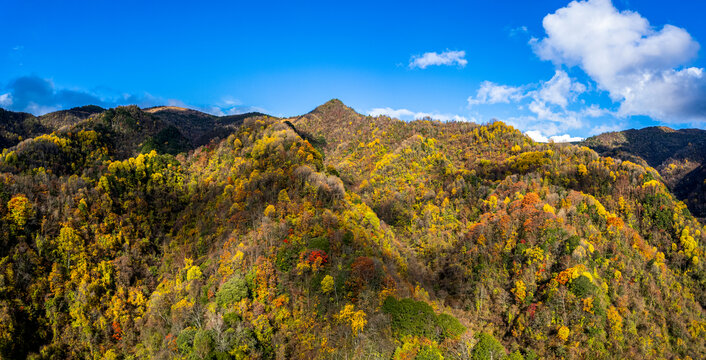 重庆城口大巴山深处秋意浓