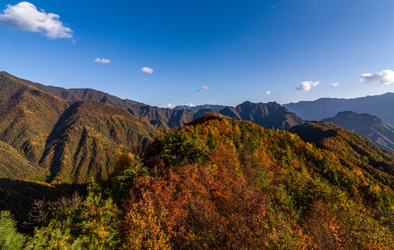 重庆城口大巴山深处秋意浓