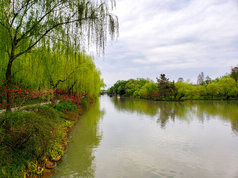 风景秀丽的碧水湖岸