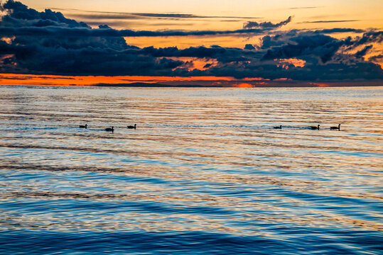 青海湖夕阳