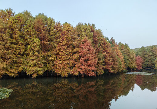 秋季风景