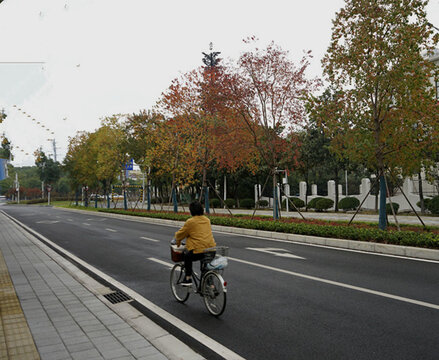 在公路上骑自行车