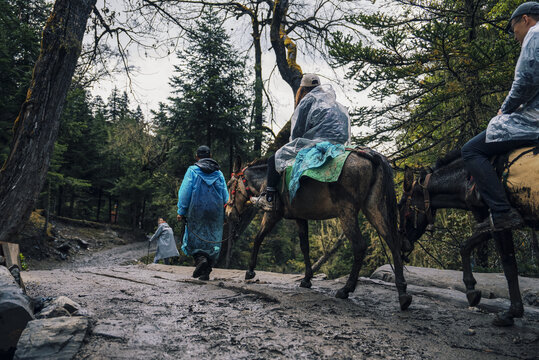 雨崩徒步骑骡子下山