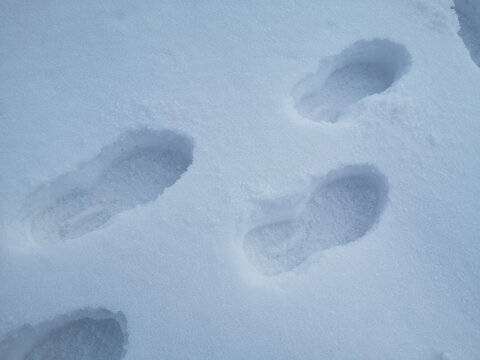 雪地脚印