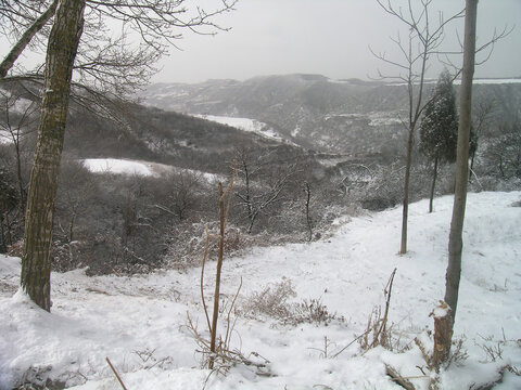 西北农村院子冬天雪景