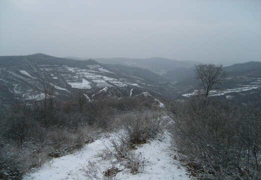 西北农村冬天雪景