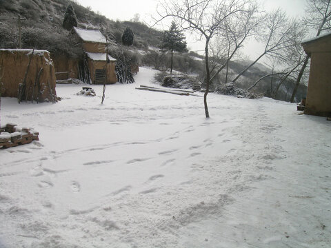 西北农村冬天雪景