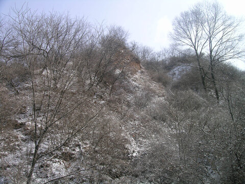 西北农村冬天的雪景