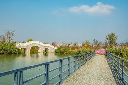 杭州富阳阳陂湖公园