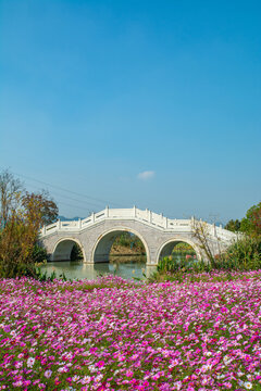 杭州富阳阳陂湖公园