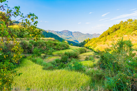 山区田园风光