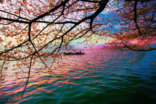 杭州西湖春天