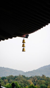 雷峰塔景区