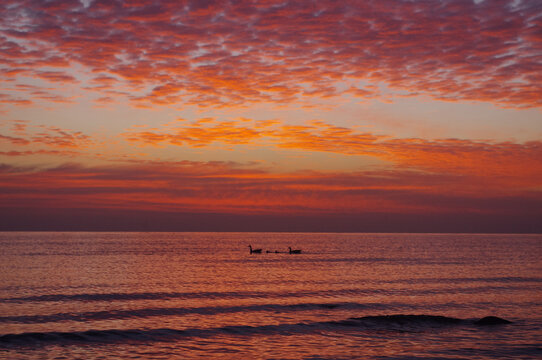 青海湖夕阳