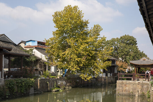 新市古镇