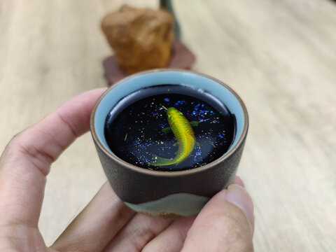 星空金鱼锦鲤茶杯