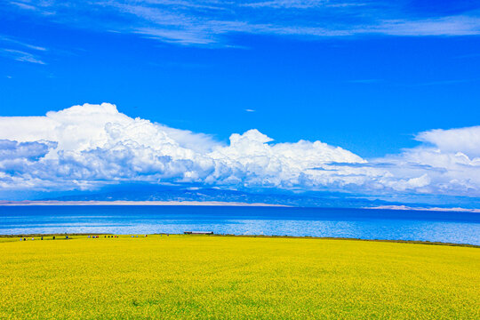 青海湖