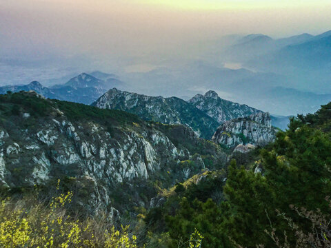 泰山