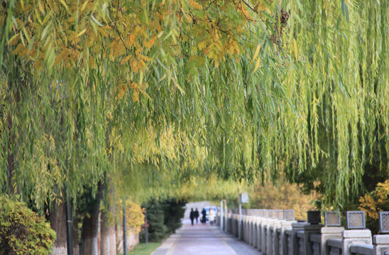 兰州黄河段河堤路