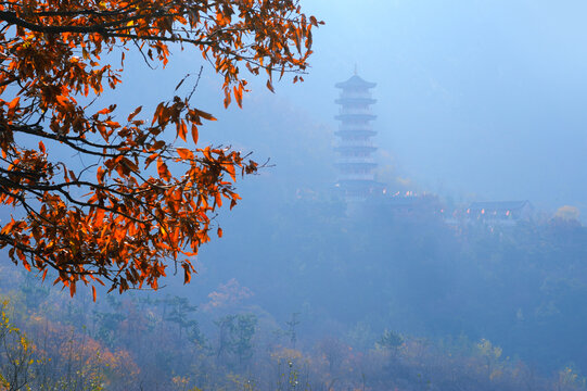 莱州大基山风光