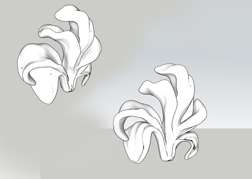 鸢尾模型