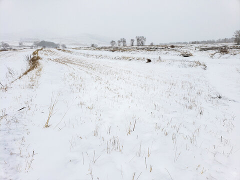 白雪覆盖的田地