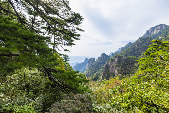 安徽黄山风景区自然风光