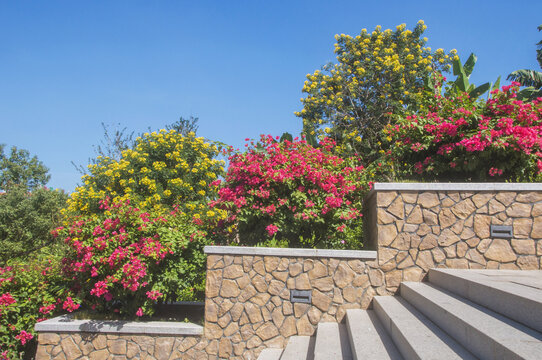 绿化花草风景