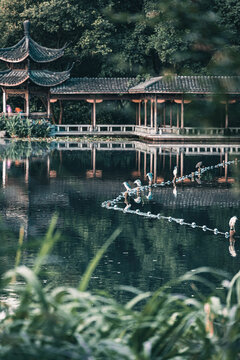 杭州西湖浴鹄湾