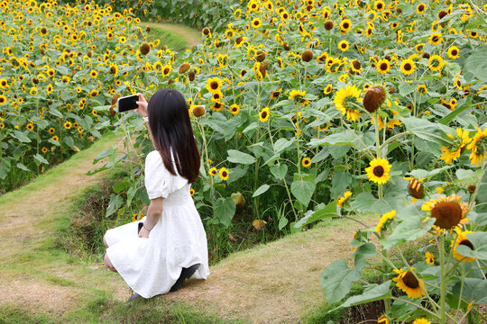 女孩手机拍照