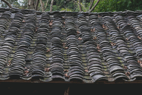 老式青瓦房房顶