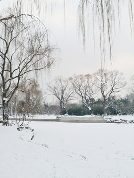 雪景