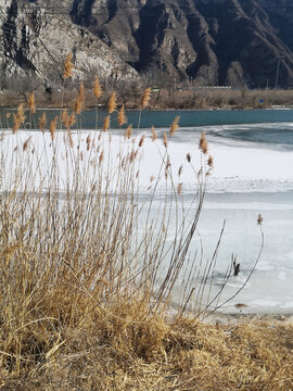 雪景