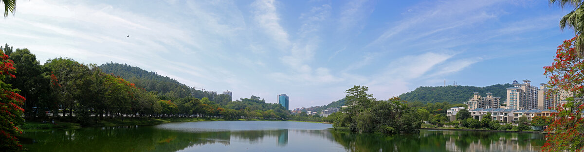 高档湖景住宅楼书背景图