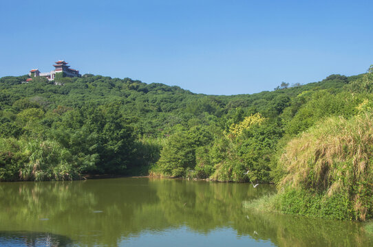 漳州凤凰山景色