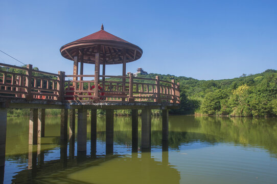漳州荔枝海公园风景