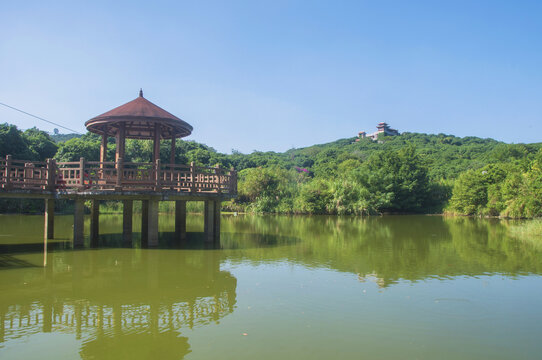 漳州荔枝海公园山水园林