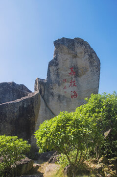 漳州母鸡石景观