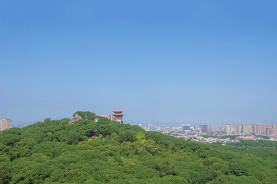 漳州荔枝海生态保护公园