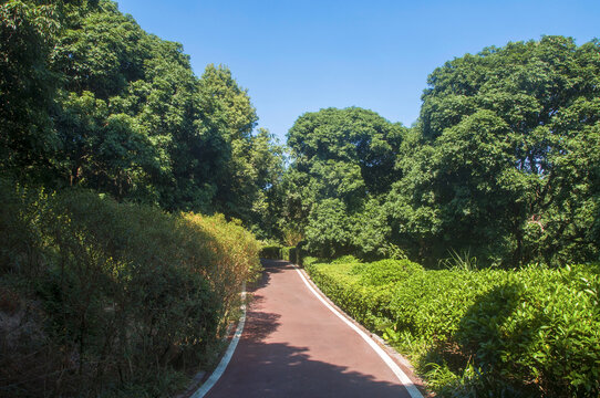漳州荔枝海生态保护公园步道